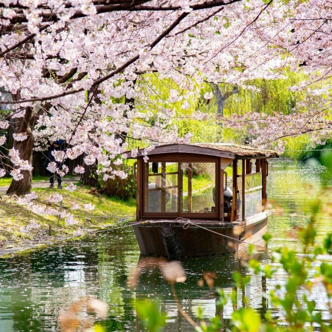 Best Time to Visit Japan: A Complete Guide by Travel Express