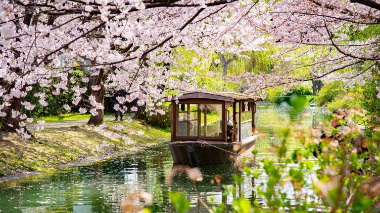 Best Time to Visit Japan: A Complete Guide by Travel Express