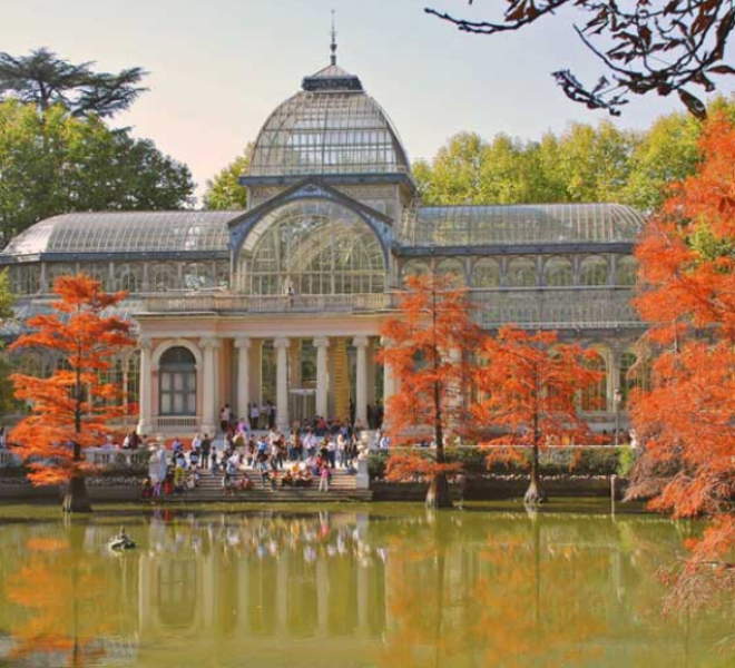 Unforgettable Adventures in Madrid