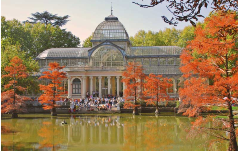 Unforgettable Adventures in Madrid