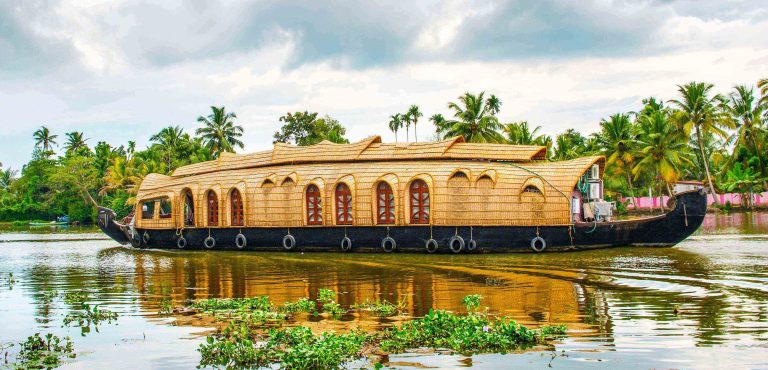 Discover the Serene Backwaters of Kerala with Travel Express