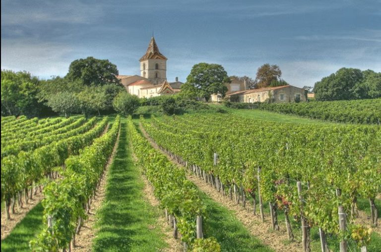 Exploring the Wine Regions of Bordeaux