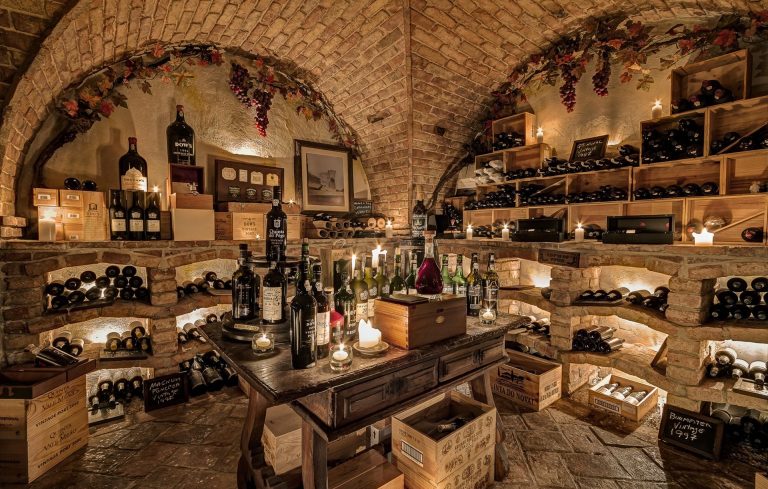 Porto wine cellars guide