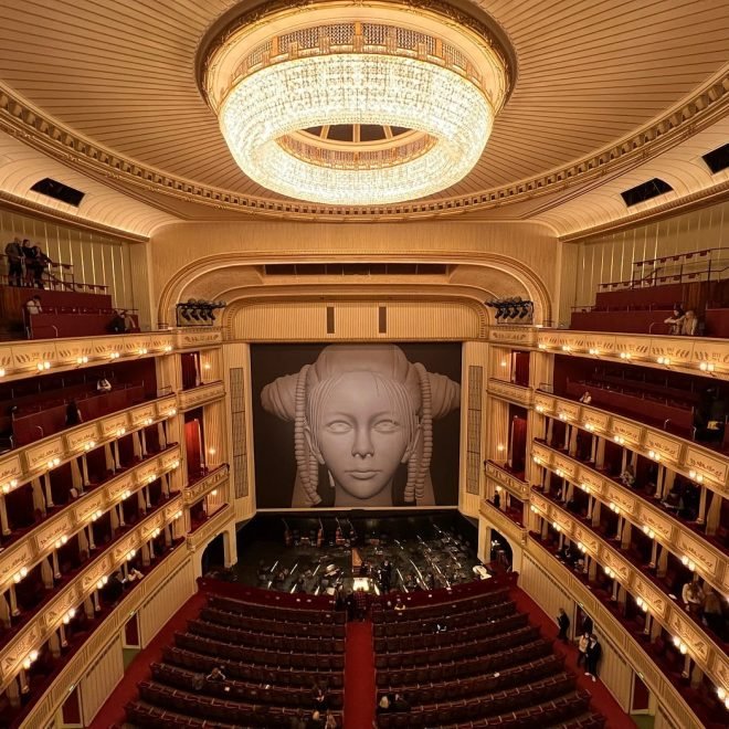Vienna opera experience