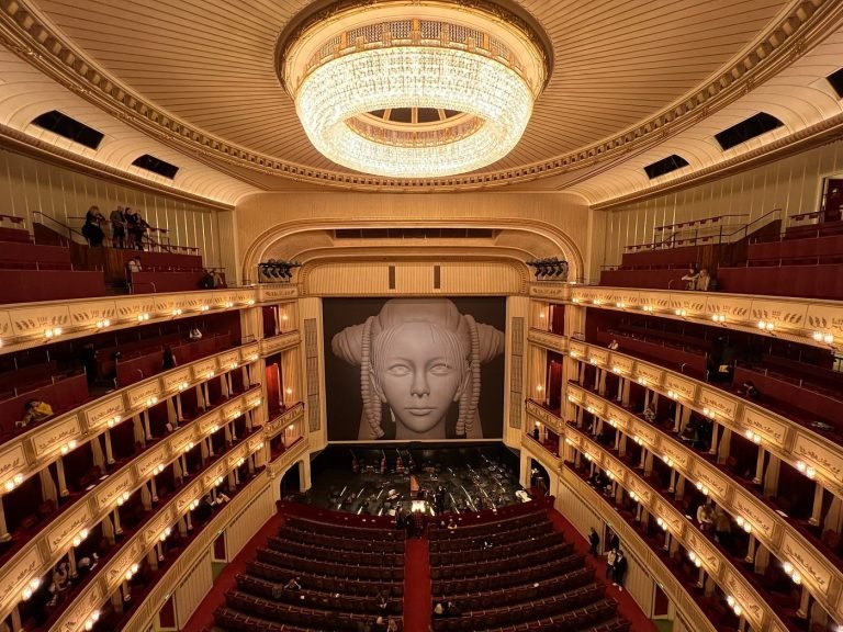 Vienna opera experience