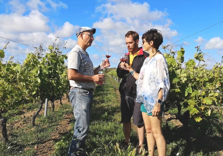 Wine tasting in Bordeaux
