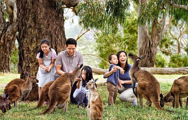 Australia’s unique wildlife parks