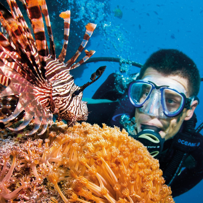 Best diving locations in Australia