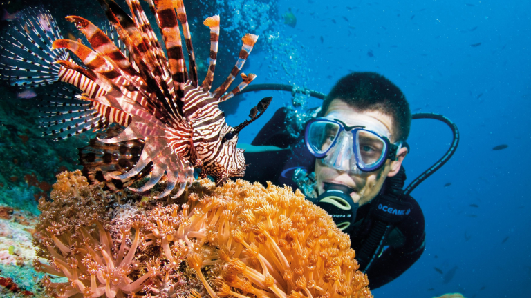 Best diving locations in Australia