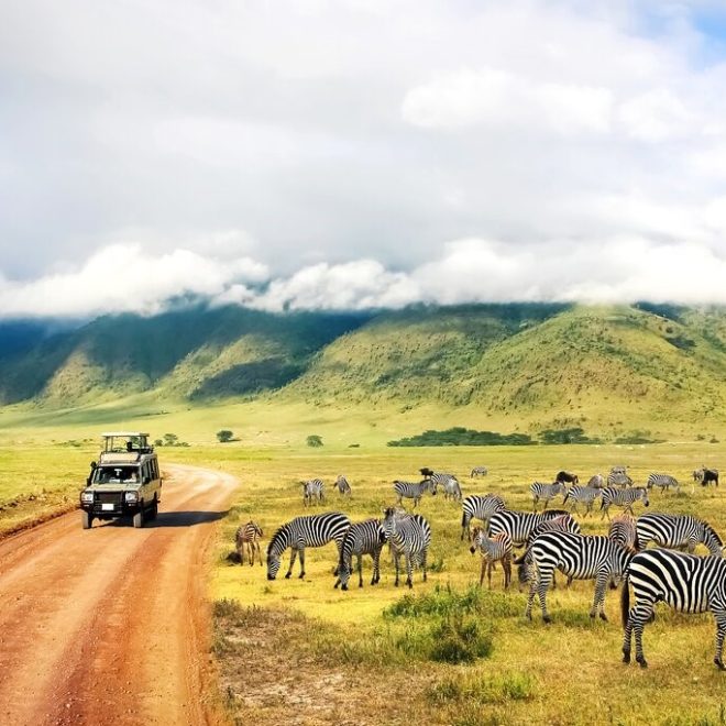 Best time to visit Tanzania