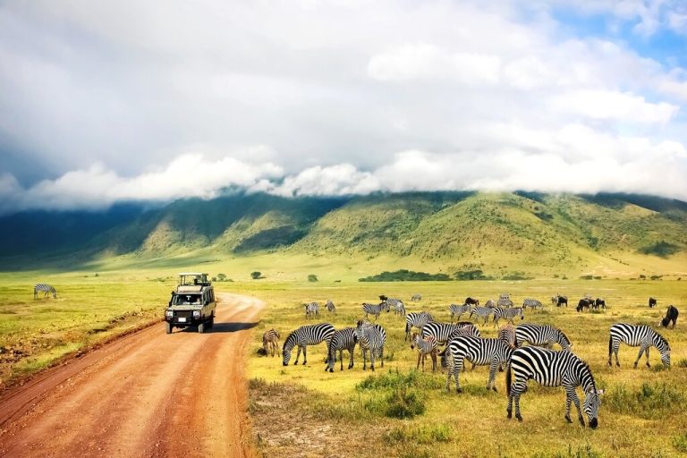 Best time to visit Tanzania