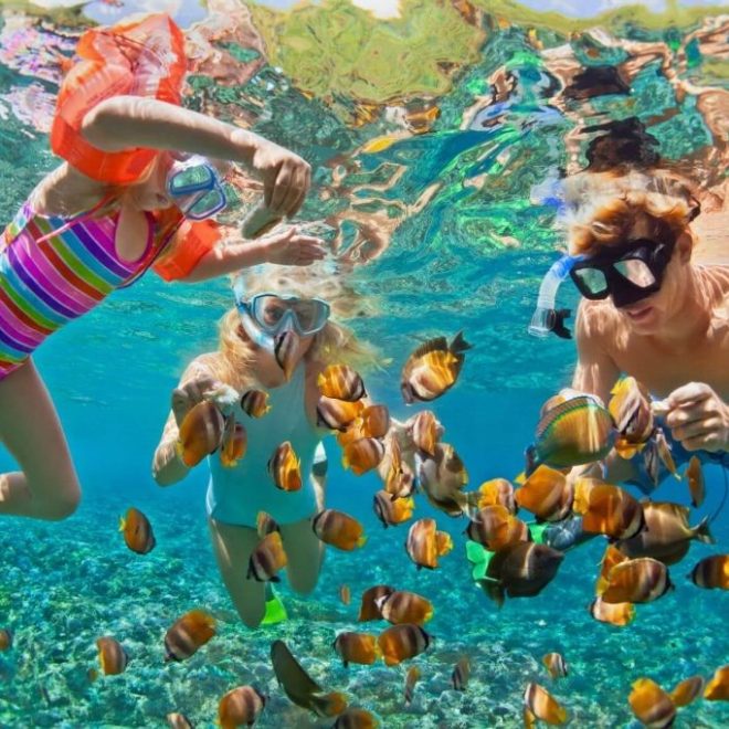 Best time to visit the Great Barrier Reef