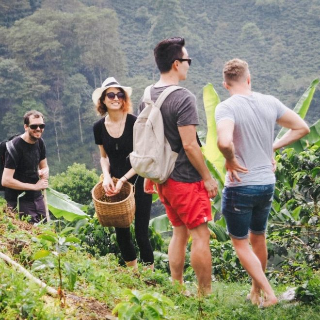 Coffee farm tours in Colombia