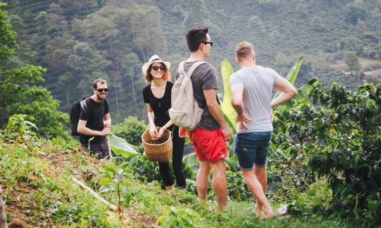 Coffee farm tours in Colombia