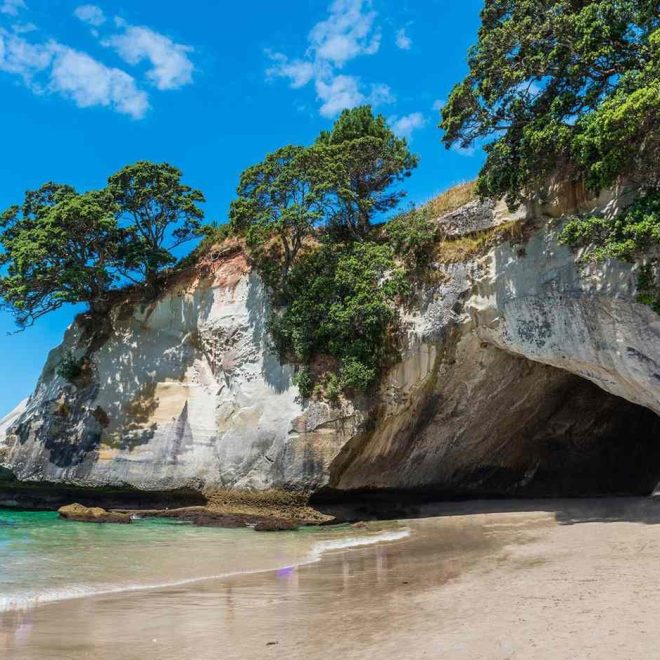 Exploring the beaches of New Zealand