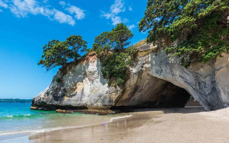 Exploring the beaches of New Zealand