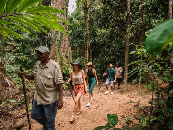 Hiking in the Daintree Rainforest