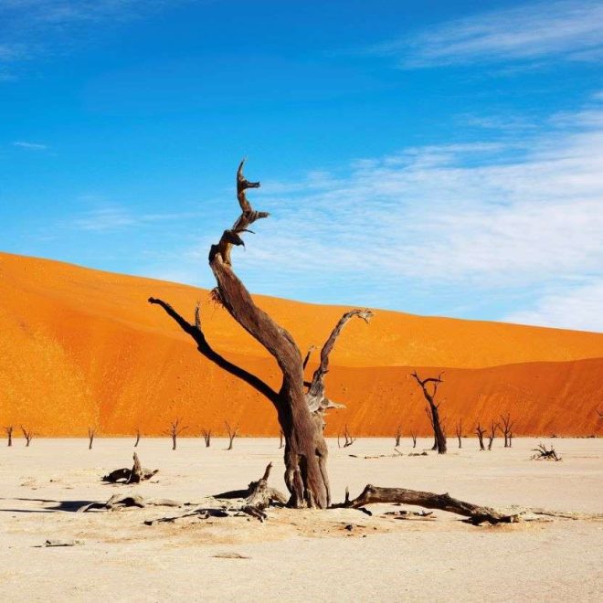 Namibia’s desert landscapes