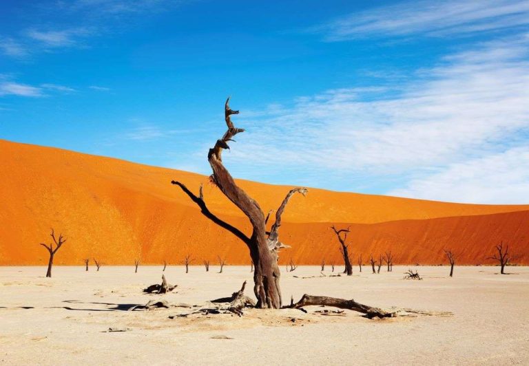 Namibia’s desert landscapes
