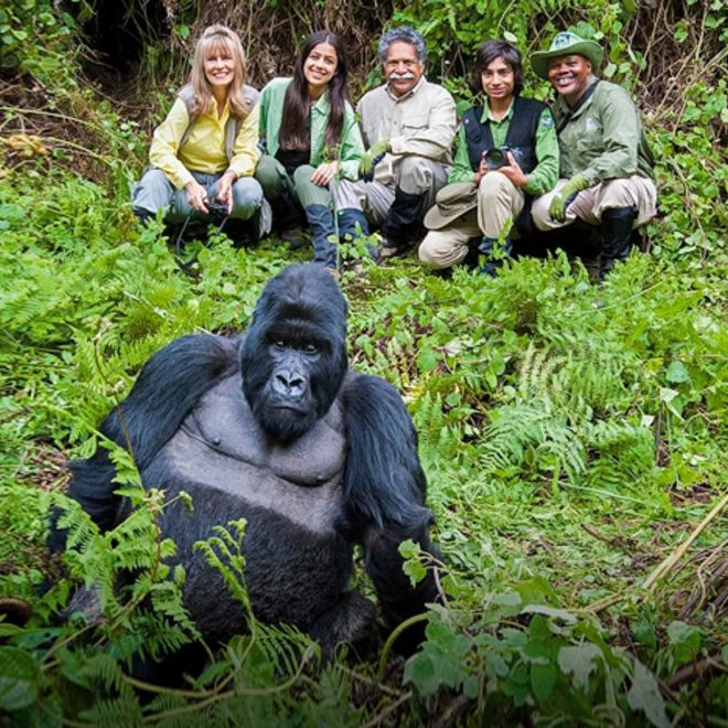 Rwanda gorilla trekking
