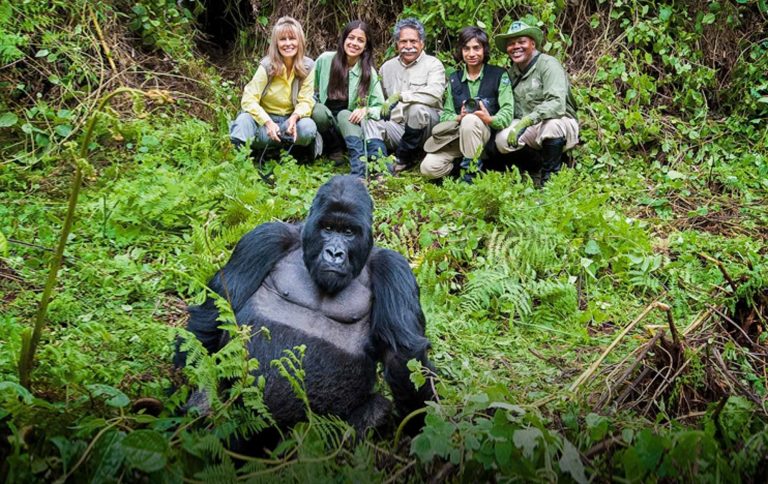 Rwanda gorilla trekking