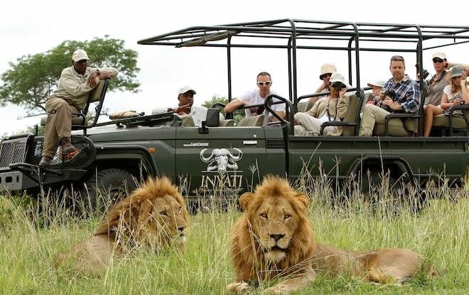 Safari in South Africa’s Kruger Park