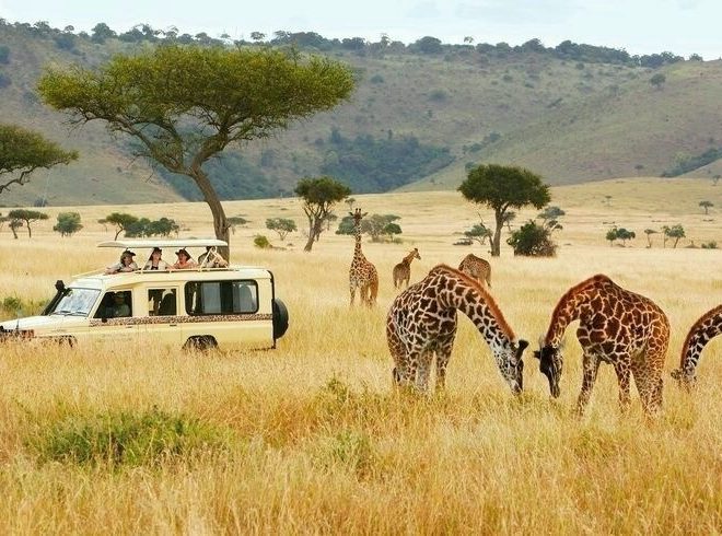 Top safari destinations in Kenya