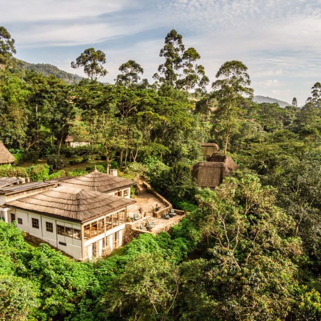 Uganda’s Bwindi Impenetrable Forest