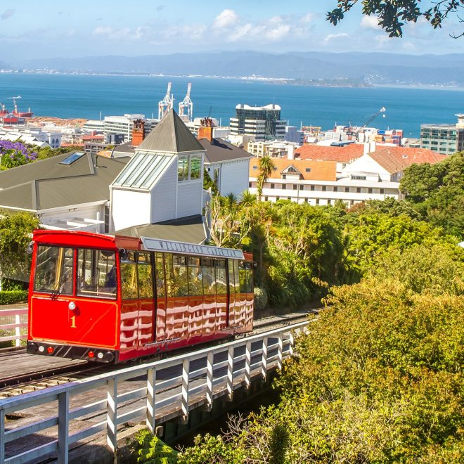 Wellington’s culture and food scene