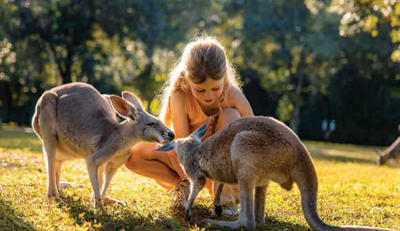 Wildlife encounters in Kangaroo Island