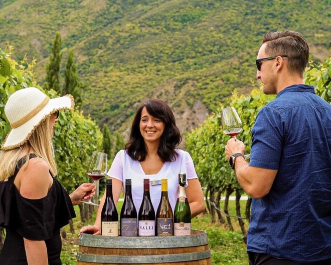 Wine tours in New Zealand
