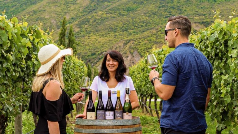 Wine tours in New Zealand